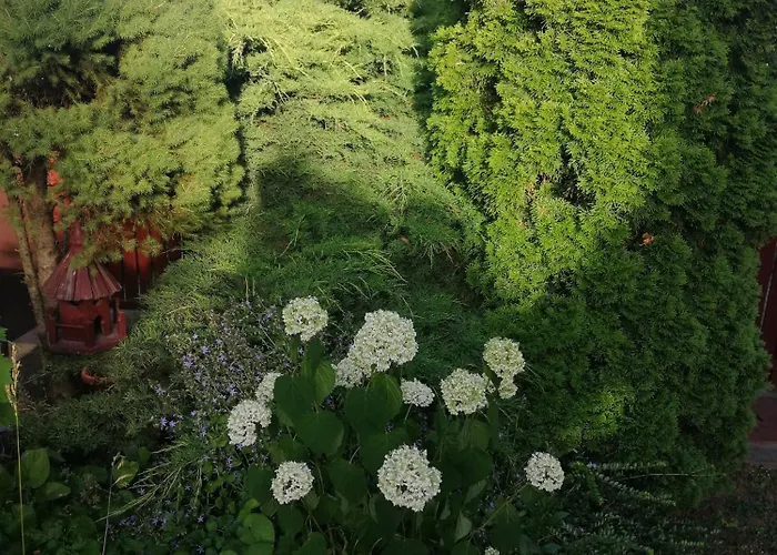 Rigodal Vendeghaz Eger