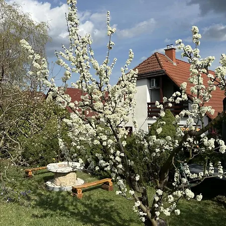 Rigodal Vendeghaz Guest house 3*