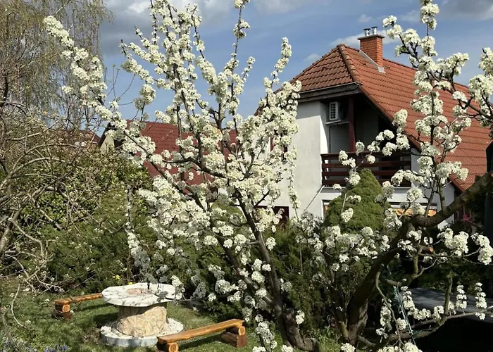 Rigódal Vendégház 3*